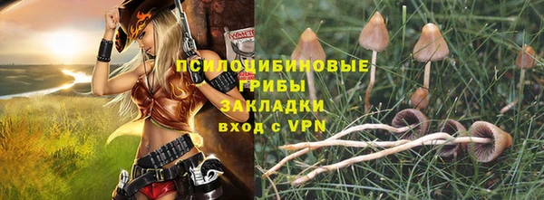 ешки Горно-Алтайск
