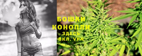 прущий лед Горняк