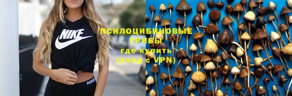 прущий лед Горняк