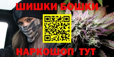 шишки Гусиноозёрск
