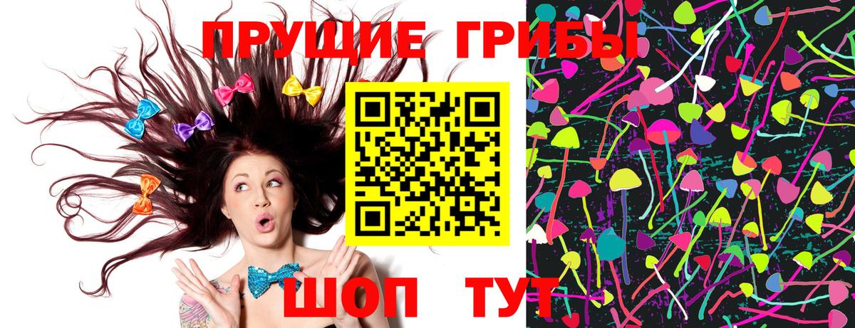Псилоцибиновые грибы Psilocybine cubensis Богородск