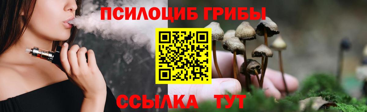 Богородск  Галлюциногенные грибы Cubensis  купить закладку  Вход с VPN 